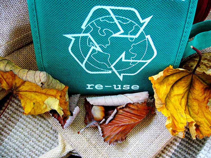 Lee más sobre el artículo Reciclaje, una Forma de Contribuir al Medio Ambiente
