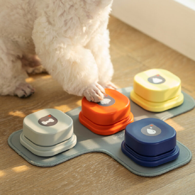 Botón de comunicación para mascotas en 4 colores